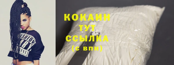 ECSTASY Ельня