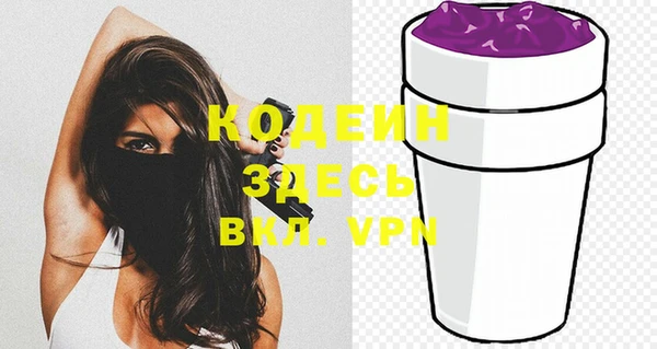 ECSTASY Ельня