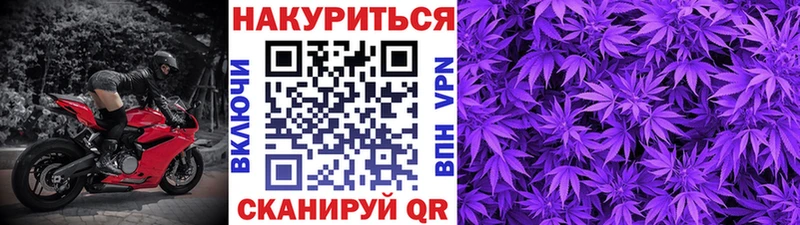 Бошки Шишки план  Купить закладки  Зеленоградск 